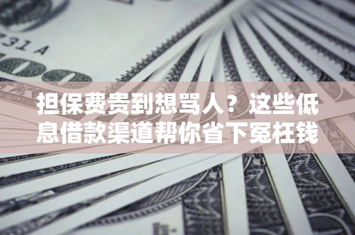 济南担保费贵到想骂人？这些低息借款渠道帮你省下冤枉钱