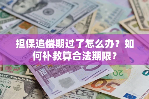 济南担保追偿期过了怎么办？如何补救算合法期限？