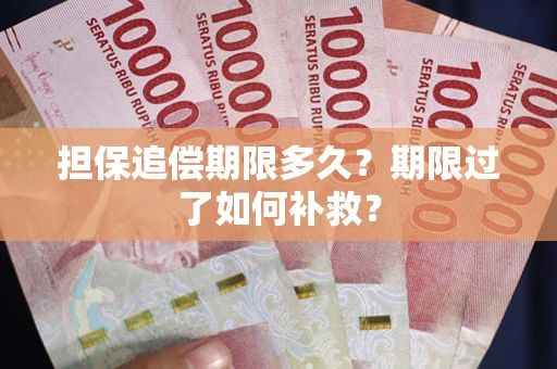 济南担保追偿期限多久？期限过了如何补救？