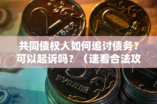 济南共同债权人如何追讨债务？可以起诉吗？（速看合法攻略）