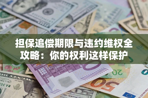 济南担保追偿期限与违约维权全攻略：你的权利这样保护
