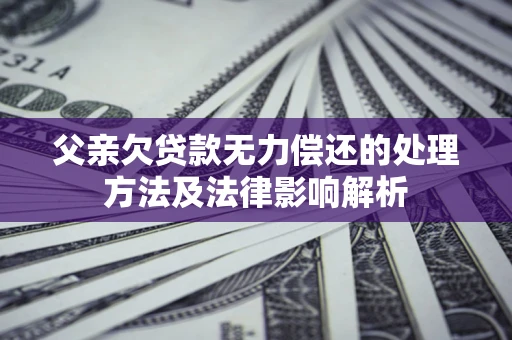 济南父亲欠贷款无力偿还的处理方法及法律影响解析